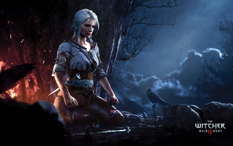 Illustration for article titled The Art Of The Witcher 3
